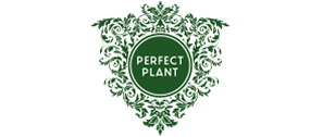 Perfect Plant